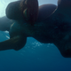 Here’s a swimming elephant, as seen from beneath. Yup, that’s in there too.